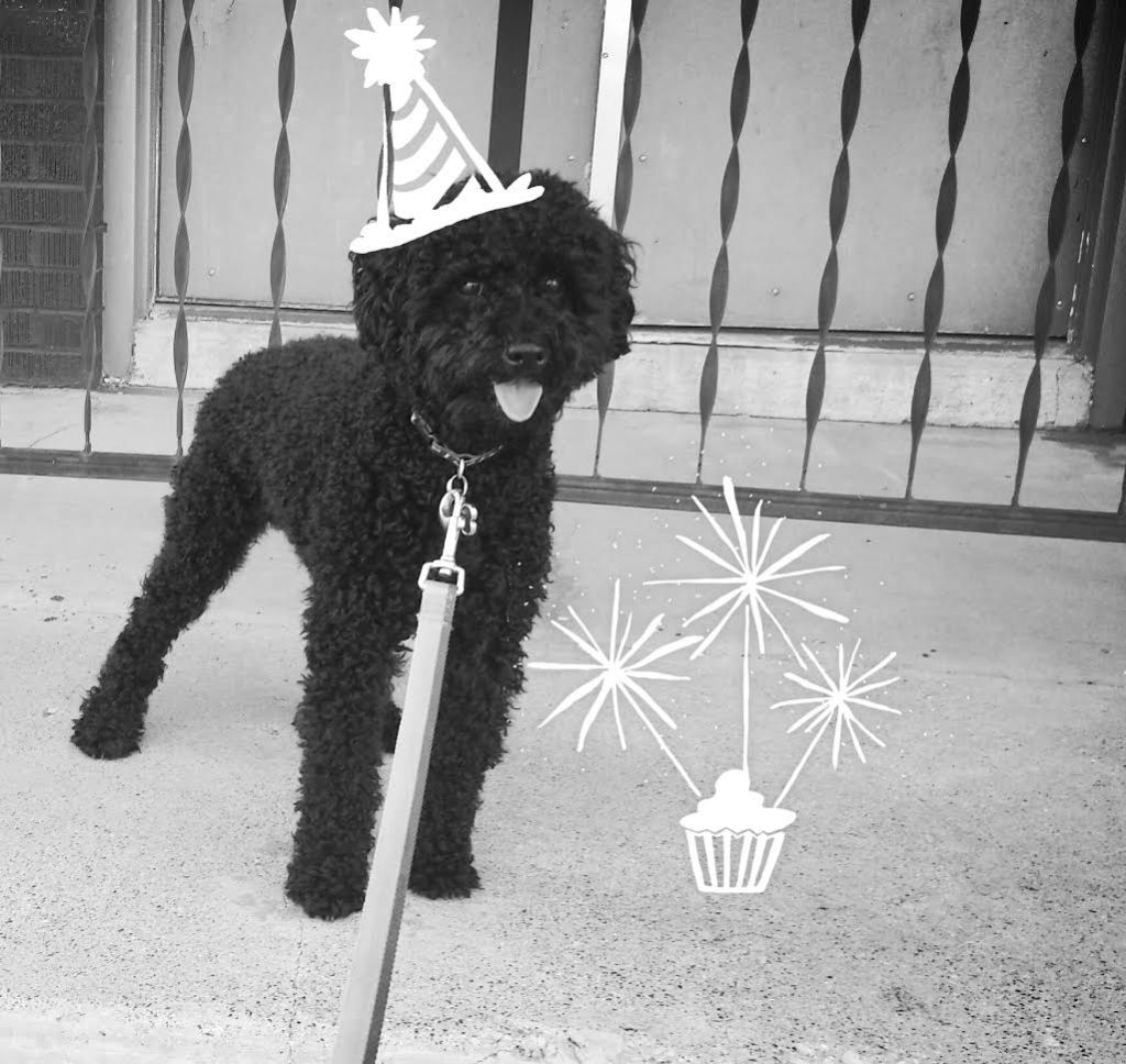 Happy Birthday Pierre!