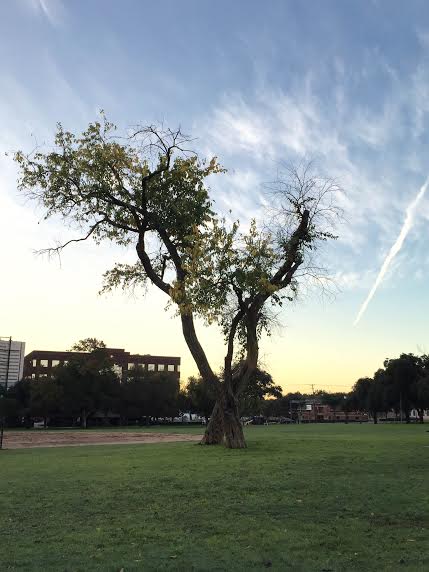 b8a71be8-6e04-4361-9919-287b2ca9b8f6